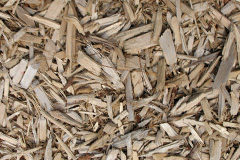 biomass boilers Whitebushes